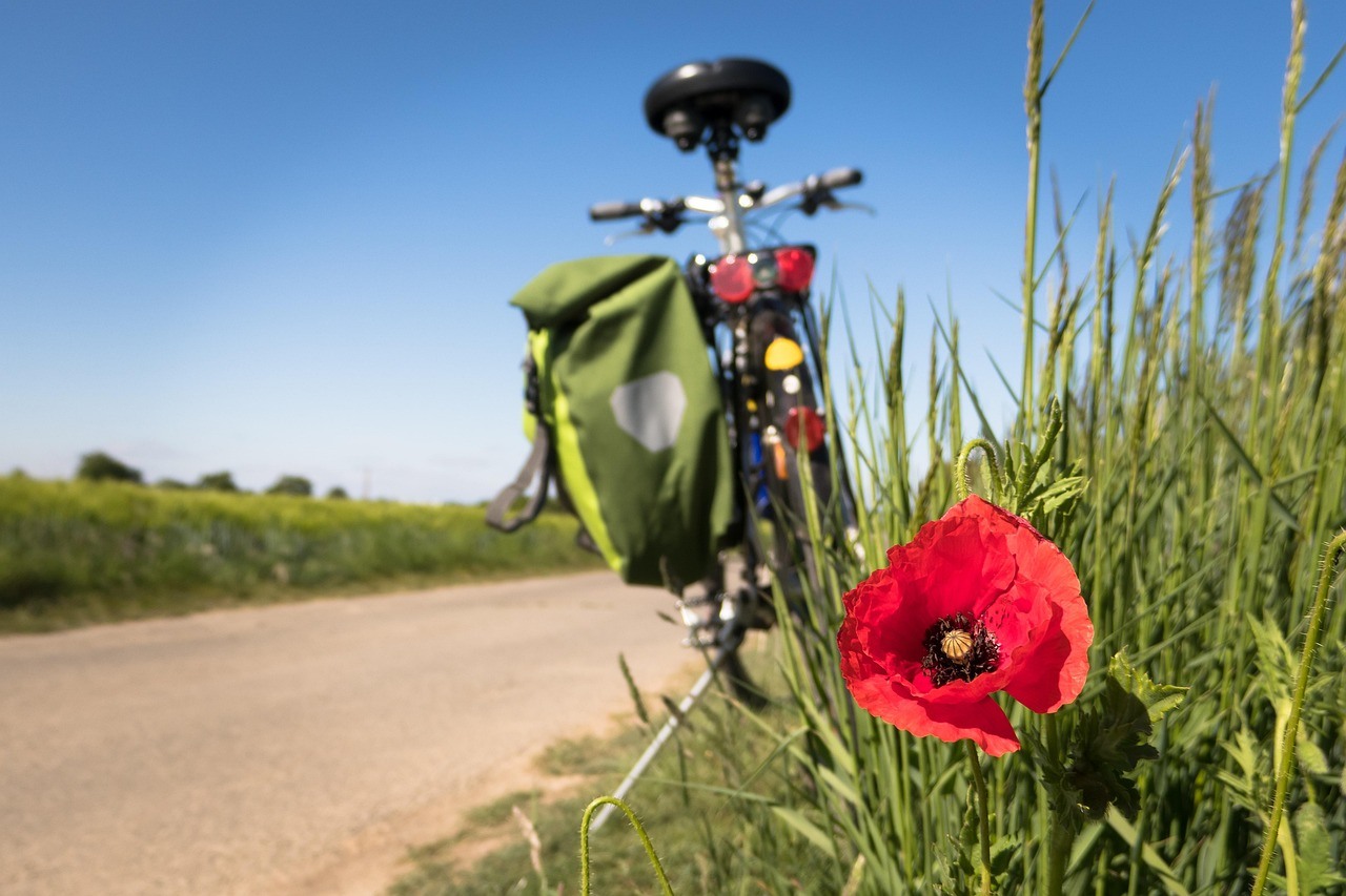 A touring bicycle with green rear bags stands beside a rural path, with a red poppy sharply visible in front.